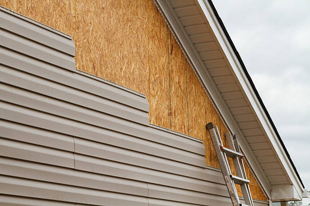 Professional Wood Siding technician working in Ripley, WV